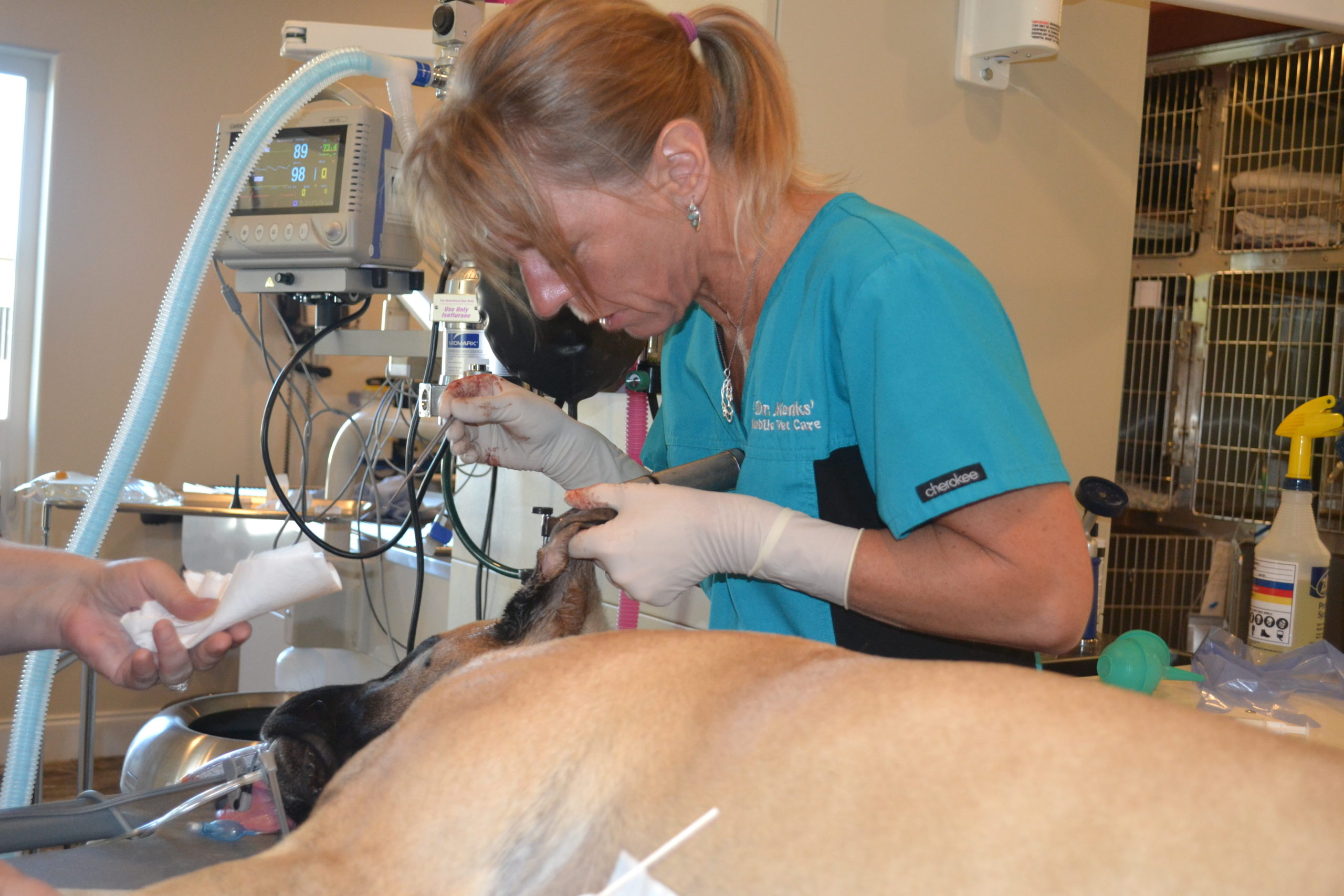 Ear Exam Removal of Foreign Body